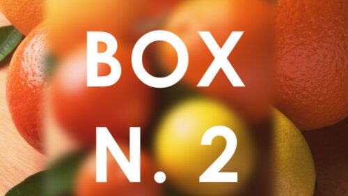 BOX n.2 Agrumi misti
