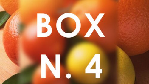 BOX n.4 Agrumi misti