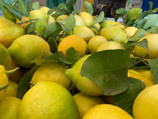 Limone Primo Fiore con foglia BOX da 9 Kg