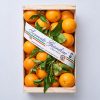 Cassetta di arance Sorrento Giardini Componi la tua Box di sapori