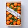 Cassetta di clementine con fascia Sorrento Componi la tua Box di sapori