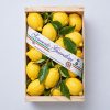Cassetta in legno di limoni italiani Componi la tua Box di sapori