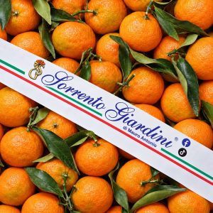 Clementine con foglia BOX 9 Kg